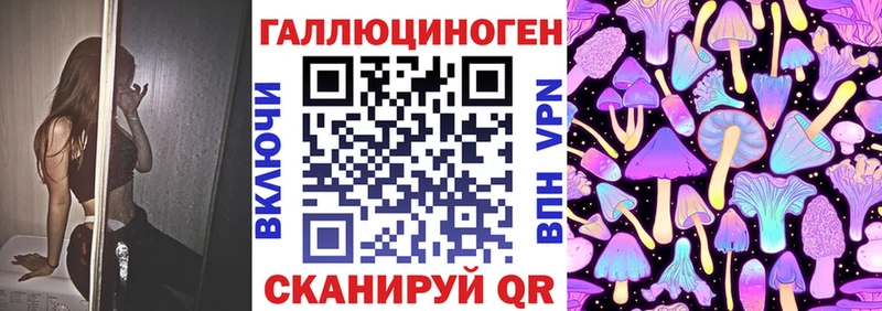 дарк нет формула  хочу   Новотитаровская  Галлюциногенные грибы Cubensis 