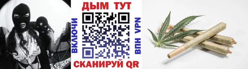 Каннабис OG Kush  Новотитаровская 